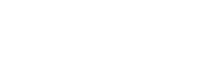 Fineline Systems Logo